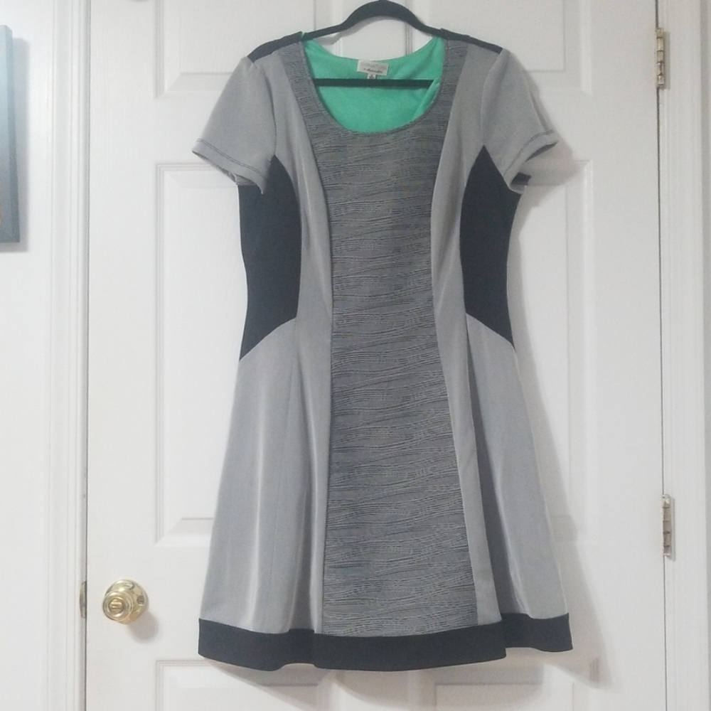 Black/Grey Skater Dress